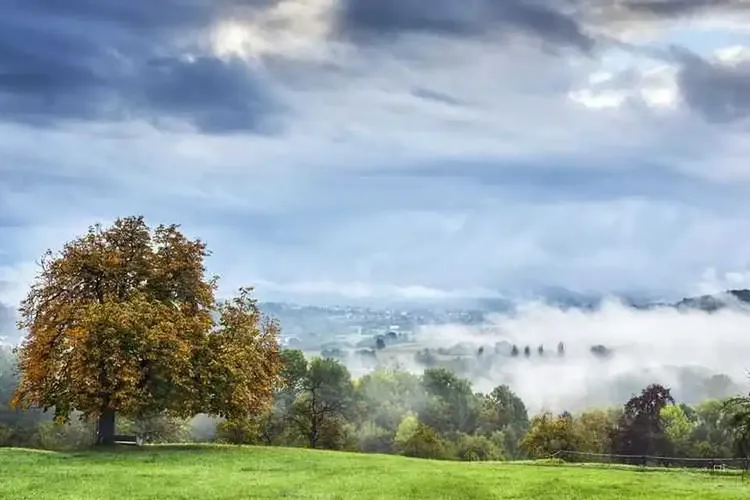 Remseck am Neckar